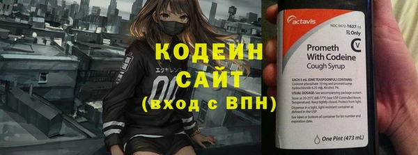 ГАЛЛЮЦИНОГЕННЫЕ ГРИБЫ Белоозёрский
