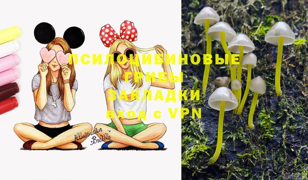 ГАЛЛЮЦИНОГЕННЫЕ ГРИБЫ Белоозёрский
